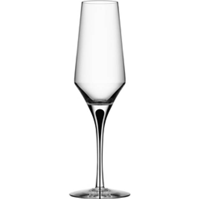 Orrefors Merlot Wine Glass