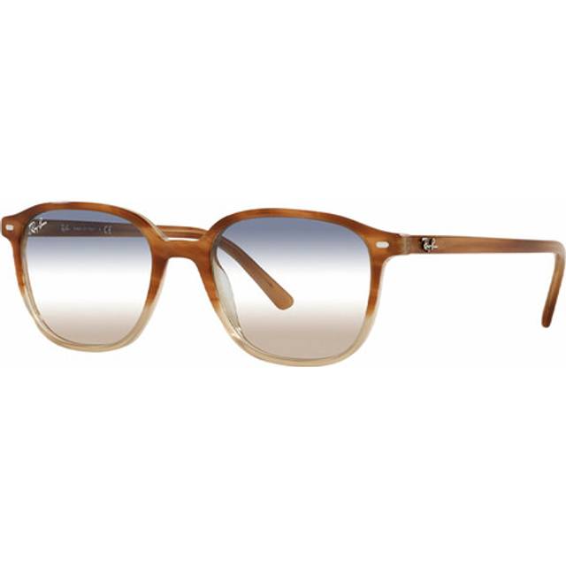 Ray-Ban Leonard Bi-Gradient RB2193 1328GD • Price »