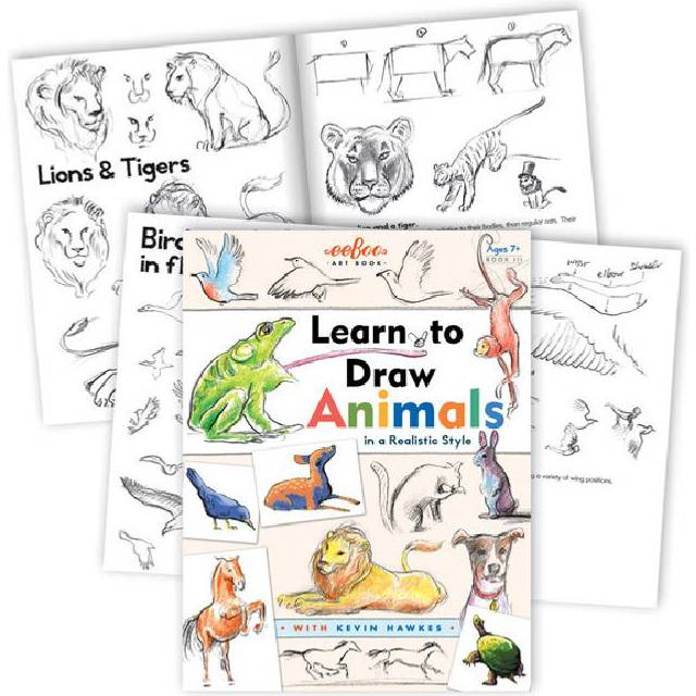 Learn to Draw Animals Book with Kevin Hawkes