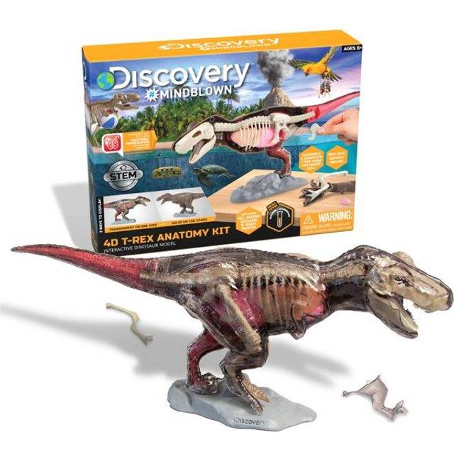 4D T Rex Dinosaur Anatomy Kit • See the best prices »