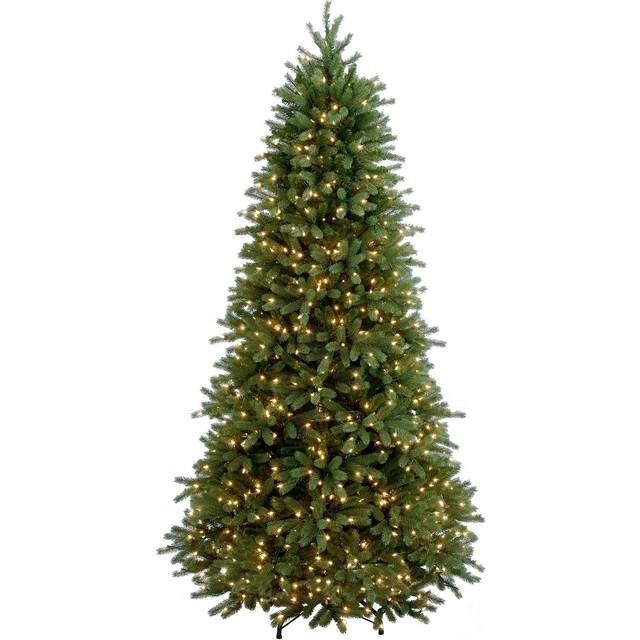 Frasier Fir