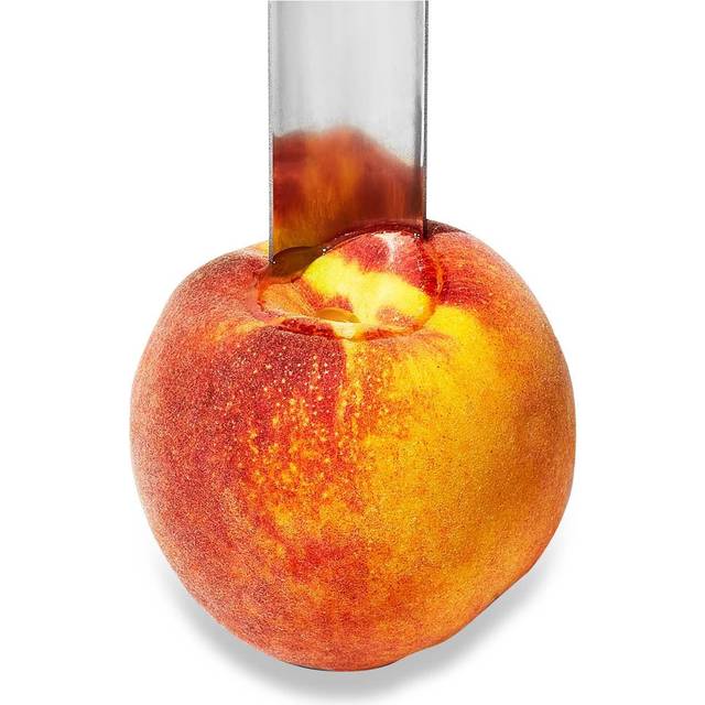 OXO Good Grips Peach Pitter