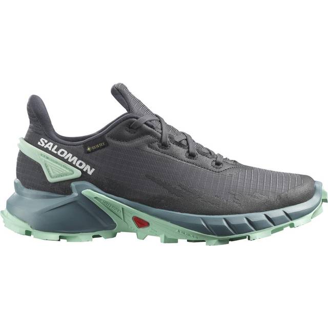 Salomon 2025 alphacross w