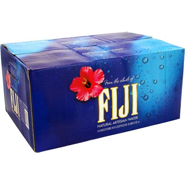 Fiji Natural Artesian Water - 24 pack, 16.9 fl oz bottles