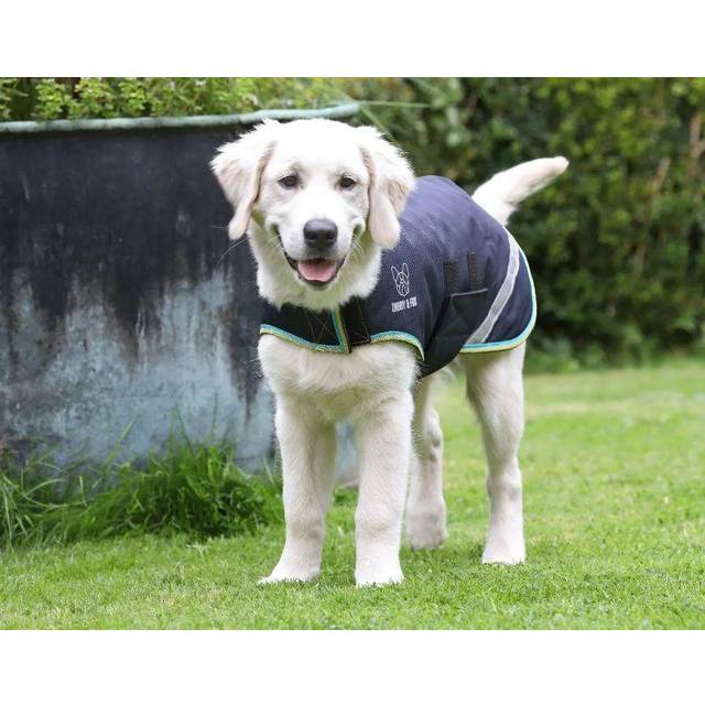 https://www.klarna.com/sac/product/640x640/3011487857/Digby-Fox-Waterproof-Dog-Coat.jpg?ph=true