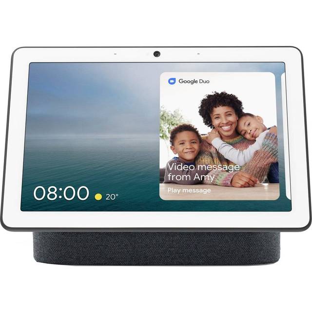 Price of hot sale google hub